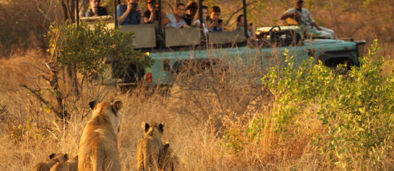 3 Day Pilanesberg Tlou Tented Safari